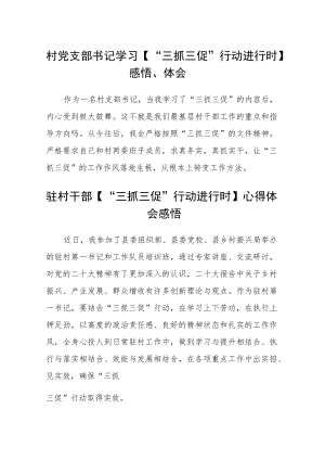 村党支部书记学习【“三抓三促”行动进行时】感悟、体会范文(通用3篇).docx