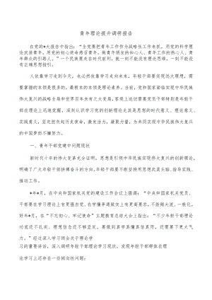 青年理论提升调研报告.docx