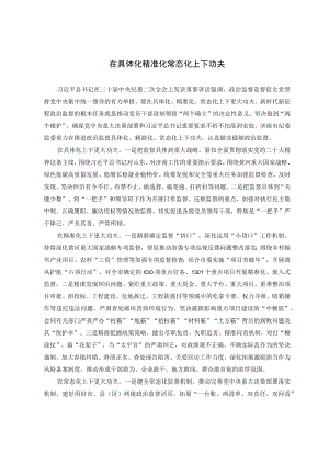 在具体化精准化常态化上下功夫.docx