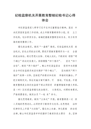 纪检监察机关开展教育整顿纪检书记心得体会.docx