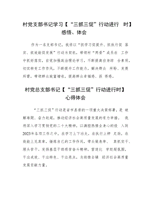 村党支部书记学习【“三抓三促”行动进行时】感悟、体会范文(3篇).docx