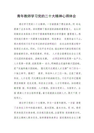青年教师学习党的二十大精神心得体会合篇【三篇】.docx