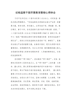 纪检监察干部开展教育整顿心得体会精选.docx