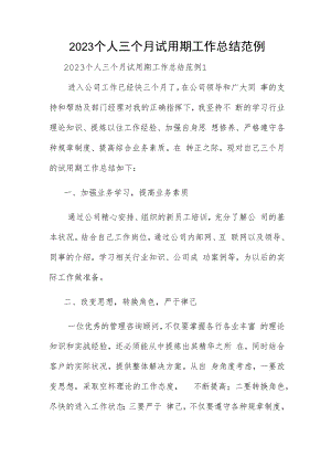 2023个人三个月试用期工作总结范例.docx