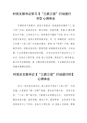 村党支部书记学习【“三抓三促”行动进行时】心得体会合篇【三篇】.docx