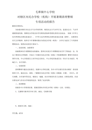 2023民办学校专项整顿汇报材料.docx