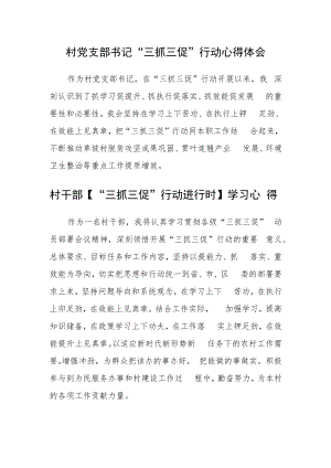 村党支部书记“三抓三促”行动心得体会合篇【三篇】.docx