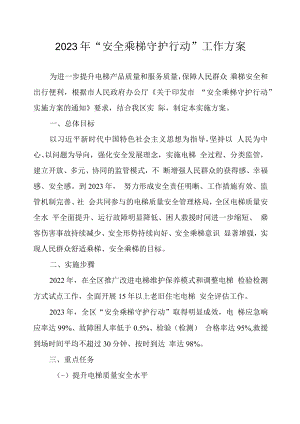 2023年“安全乘梯守护行动”工作方案.docx