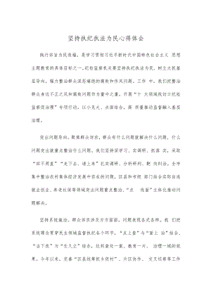坚持执纪执法为民心得体会.docx