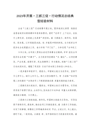 2023年开展〃三抓三促〃行动情况总结典型经验材料合篇【三篇】.docx