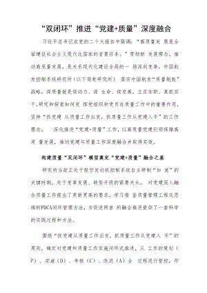 “双闭环”推进“党建+质量”深度融合.docx