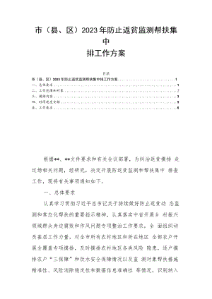 市（县、区）2023年防止返贫监测帮扶集中排工作方案.docx