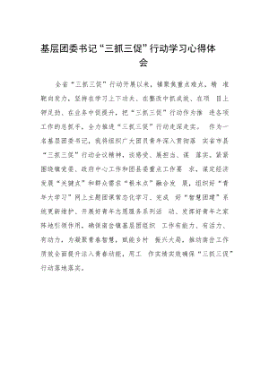 基层团委书记“三抓三促”行动学习心得体会.docx