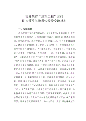 吉林某市“三项工程”加码助力领头羊跑得快经验交流材料.docx