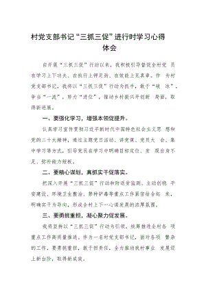 村党支部书记“三抓三促”进行时学习心得体会.docx