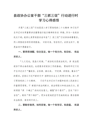 县政协办公室干部“三抓三促”行动进行时学习心得感悟.docx