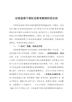 纪检监察干部队伍教育整顿阶段总结.docx