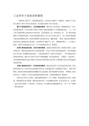 工会青年干部培训班感悟.docx
