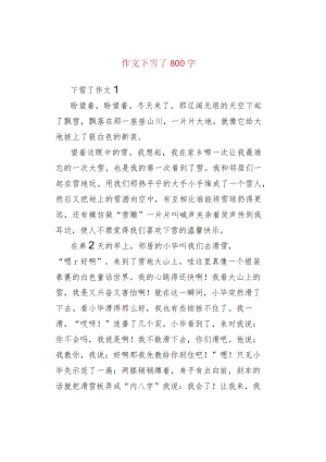 作文下雪了800字.docx