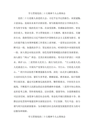 法院党员干部学习宣传贯彻党的二十大精神个人心得体会 （合计5份）.docx