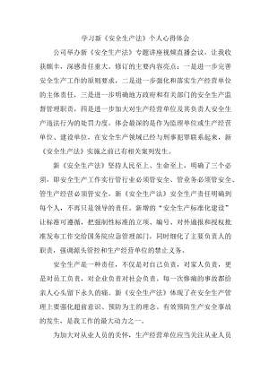 企业领导干部学习新《安全生产法》心得体会 汇编4份.docx