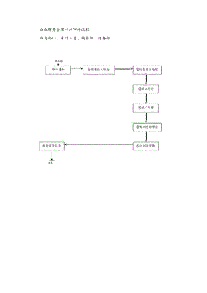 企业财务管理利润审计流程.docx