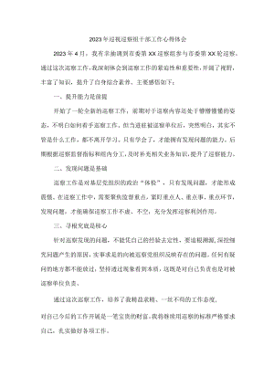 三甲医院2023年巡视巡察组干部工作心得体会合辑五篇 (范文).docx