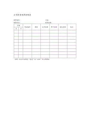 公司财务预算控制表.docx