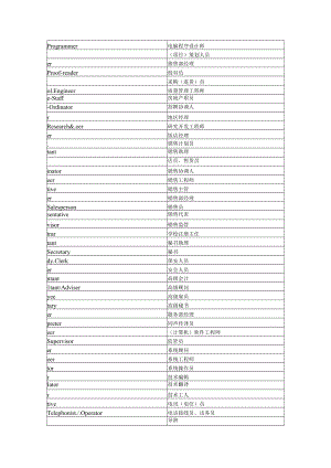 电脑程序设计师.docx