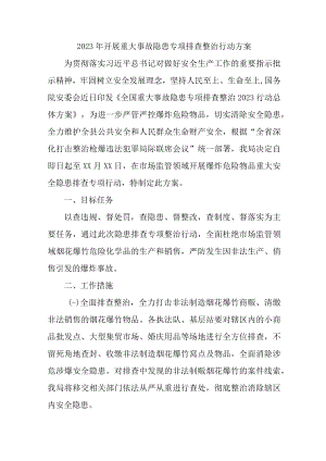 国企单位2023年开展重大事故隐患专项排查整治行动实施方案.docx