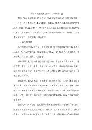 高等院校2023年巡视巡察组干部工作心得体会合辑五篇 (范文).docx