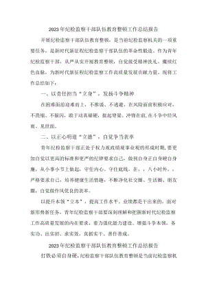 央企单位2023年纪检监察干部队伍教育整顿工作总结 （合计5份）.docx