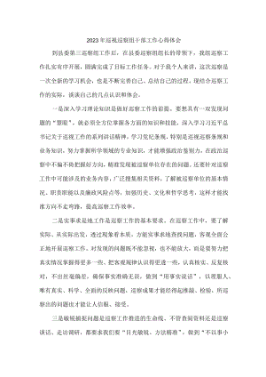 石油公司2023年巡视巡察组干部工作心得体会合辑五篇 (通用).docx