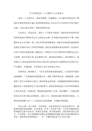 法院院领导学习宣传贯彻党的二十大精神个人心得体会 （汇编5份）.docx