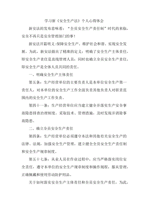 国企安全监督员学习新安全生产法个人心得体会 （合计5份）.docx
