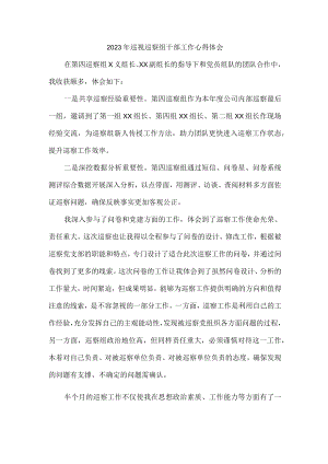 县委2023年巡视巡察组干部工作心得体会合辑五篇 (范文).docx