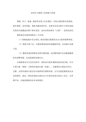 如何区分葡萄上的果粉与药霜.docx