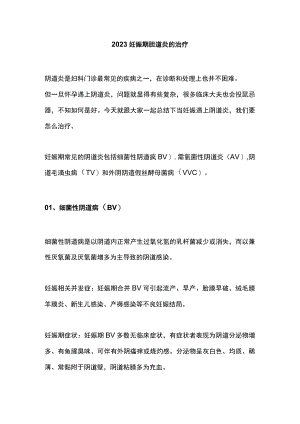 2023妊娠期阴道炎的治疗.docx