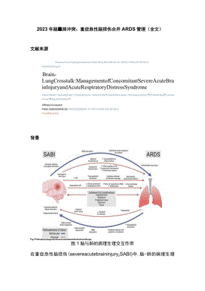2023年脑-肺冲突：重症急性脑损伤合并ARDS管理（全文）.docx