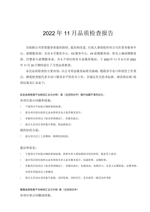 2022年11月品质检查报告.docx