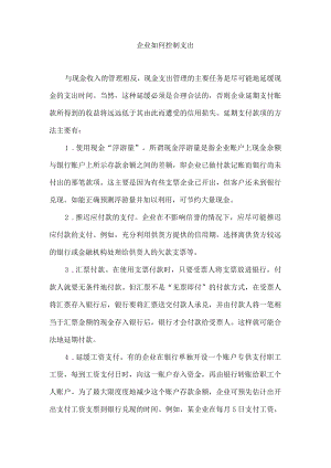 企业如何控制支出.docx