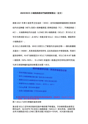 2023 CSCO小细胞肺癌诊疗指南更新要点（全文）.docx