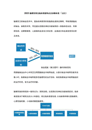 2023脑梗死常见临床类型特点及诊断标准（全文）.docx