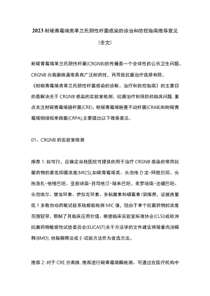 2023耐碳青霉烯类革兰氏阴性杆菌感染的诊治和防控指南推荐意见（全文）.docx