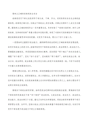 要树立正确的政绩观体会发言.docx