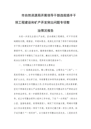 市自然资源局开展领导干部违规插手干预工程建设和矿产开发突出问题专项整治情况报告.docx