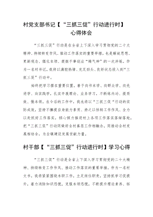 村党支部书记【“三抓三促”行动进行时】心得体会合篇【三篇】.docx
