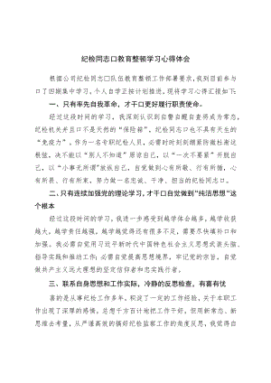 纪检干部教育整顿学习心得体会.docx