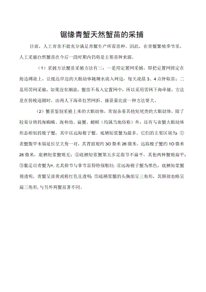 锯缘青蟹天然蟹苗的采捕.docx