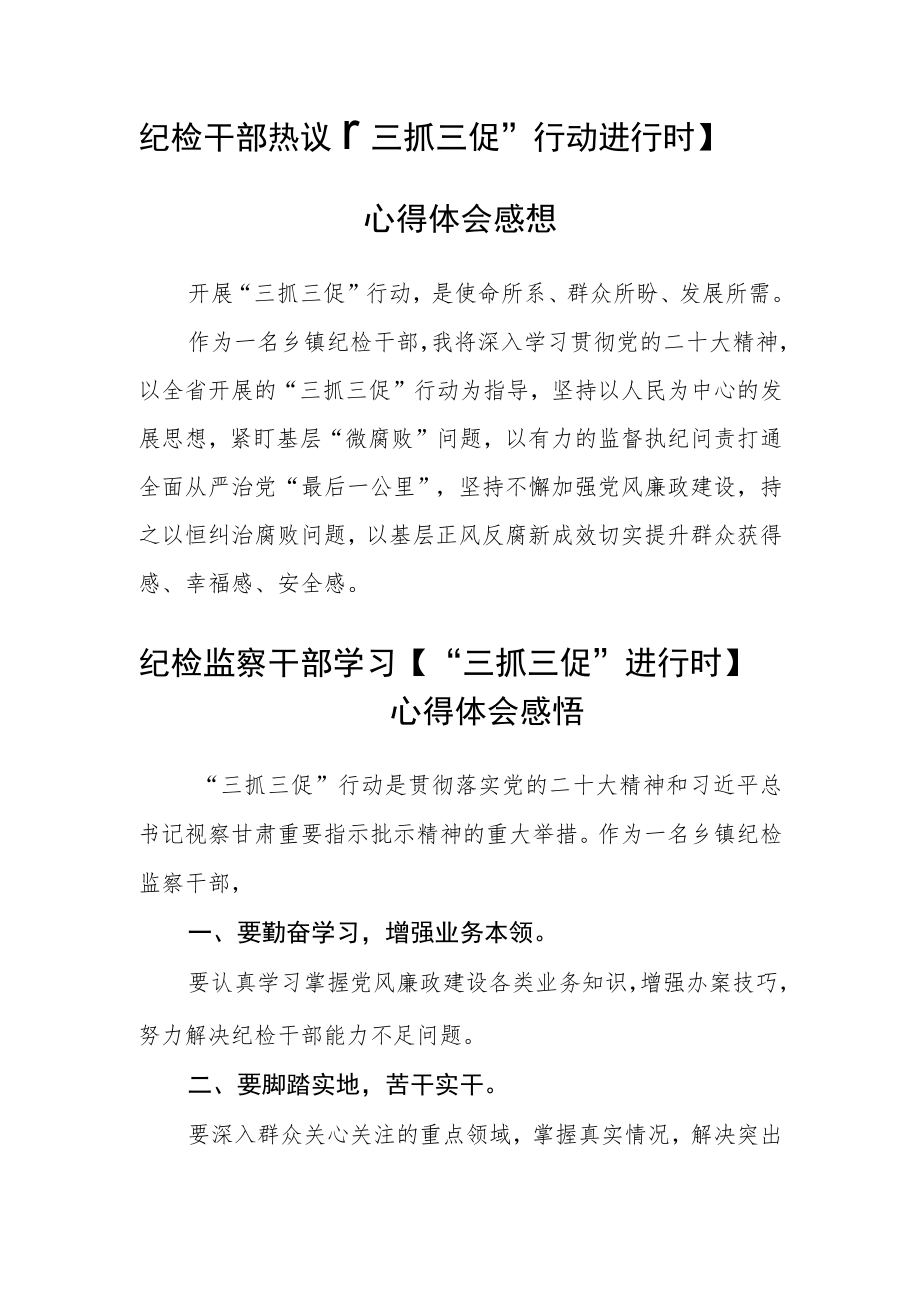 纪检监察机关【“三抓三促”行动进行时】心得体会合篇【三篇】.docx_第2页